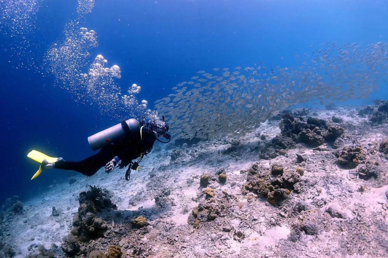 Blue Ocean Lodge & Diving Centre Semporna 蓝海潜水旅舍 Экстерьер фото